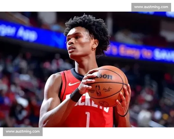 火箭对阵山猫全场比赛录像回顾精彩攻防与关键时刻解析完整呈现